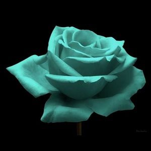 Meet your Posher, Araceli